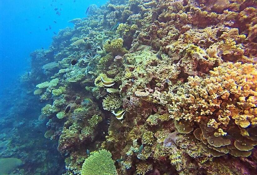 צימר Makaira Resort