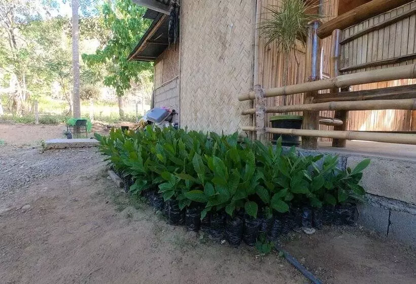 Hotelli Mount Avangan Eco Adventure Park