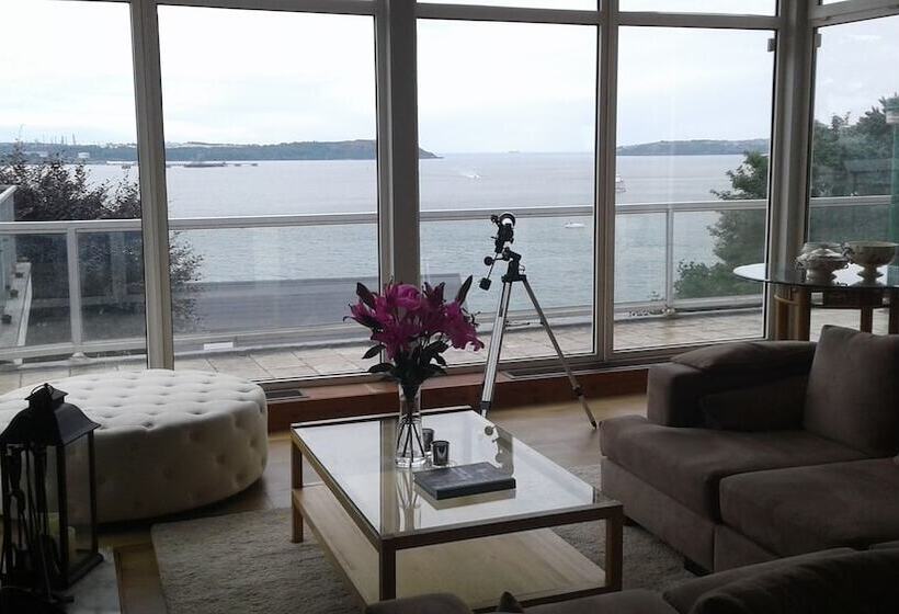 住宿加早餐  Buena Vista