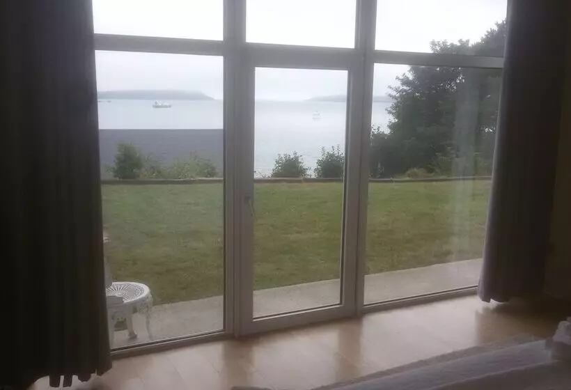 Aamiaismajoitus (B&B) Buena Vista