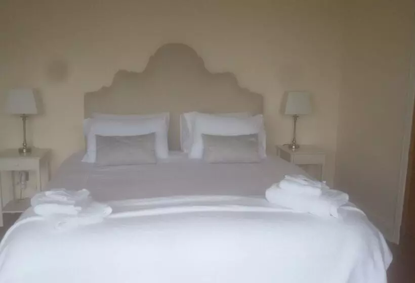 Aamiaismajoitus (B&B) Buena Vista