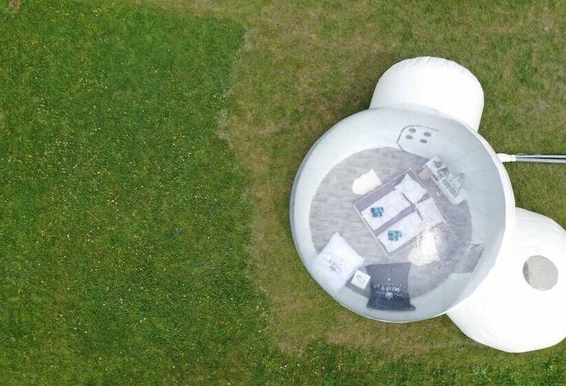 فندق Bubble Tent