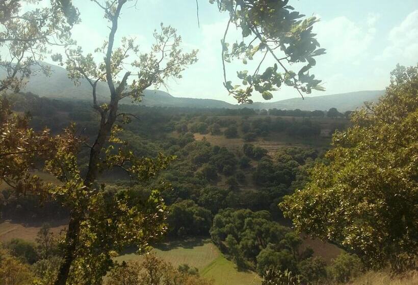 乡村酒店  Rancho San Miguel