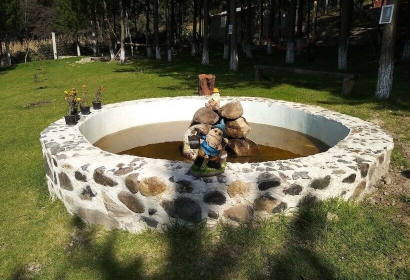 乡村酒店  Rancho San Miguel