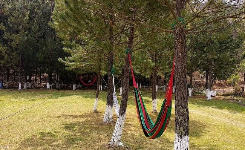 乡村酒店  Rancho San Miguel