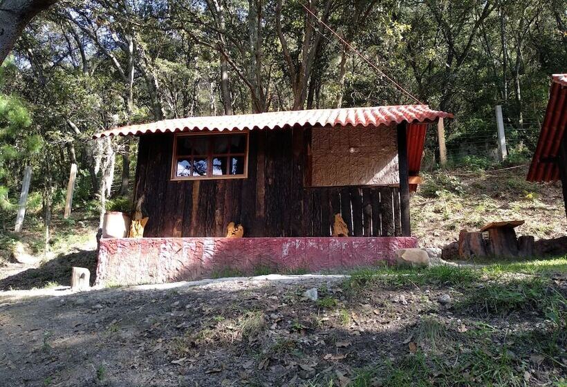 乡村酒店  Rancho San Miguel