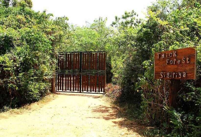 Hotell The Thick Forest