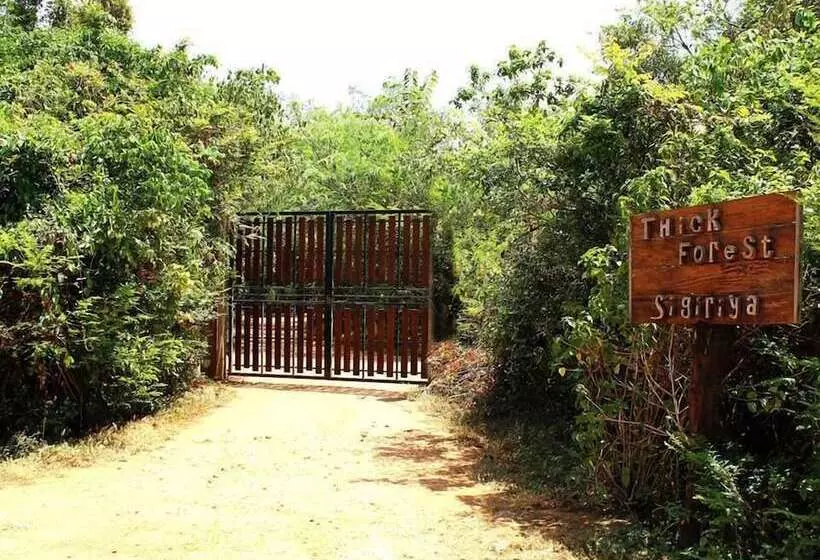 Hotel The Thick Forest
