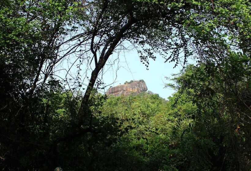 Hotell The Thick Forest