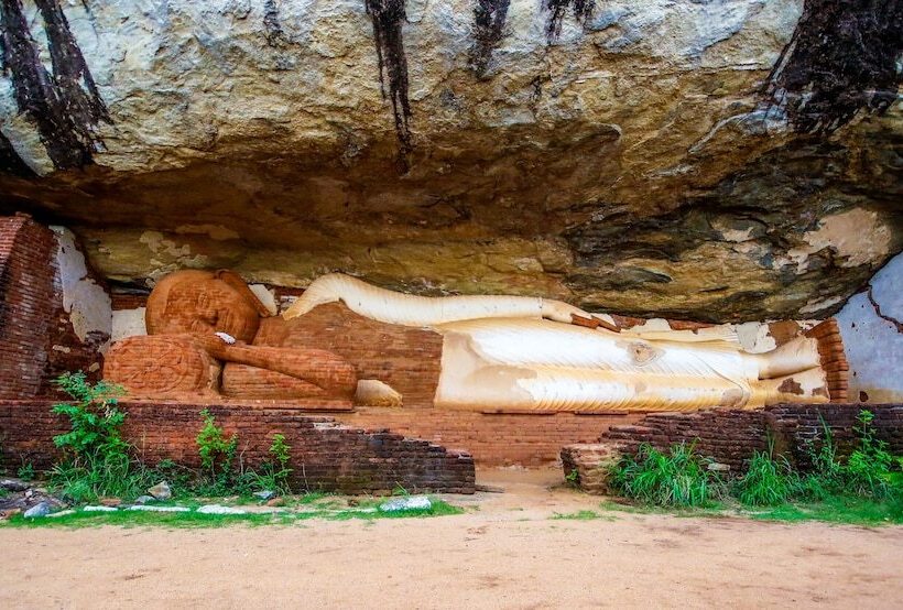 Hotell The Thick Forest