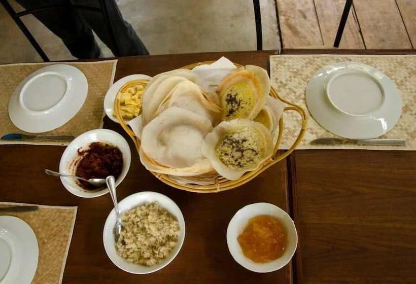 Hotell The Thick Forest