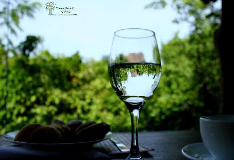 Hotell The Thick Forest