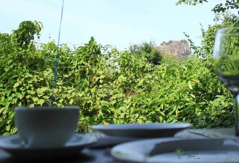 Hotell The Thick Forest