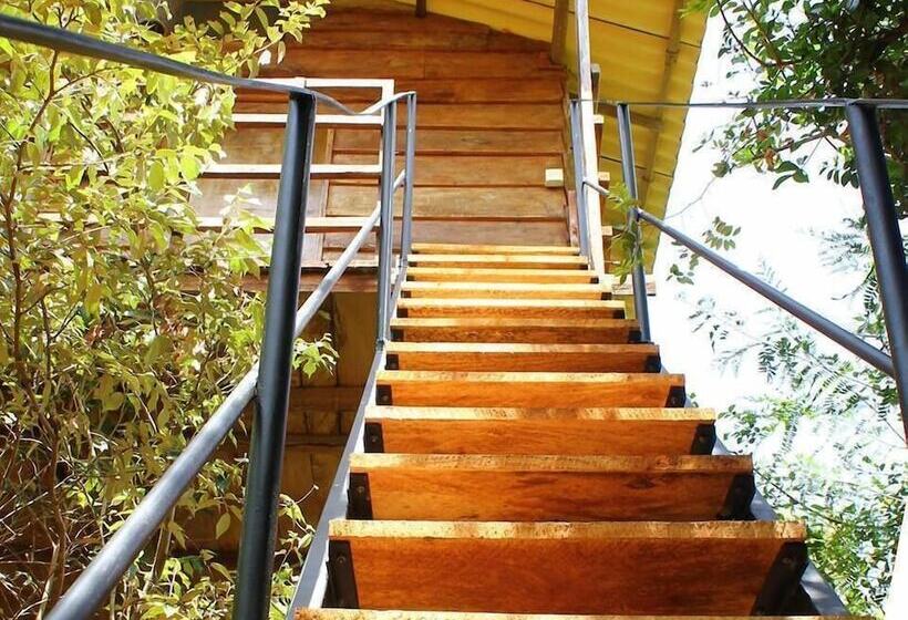 Hotell The Thick Forest