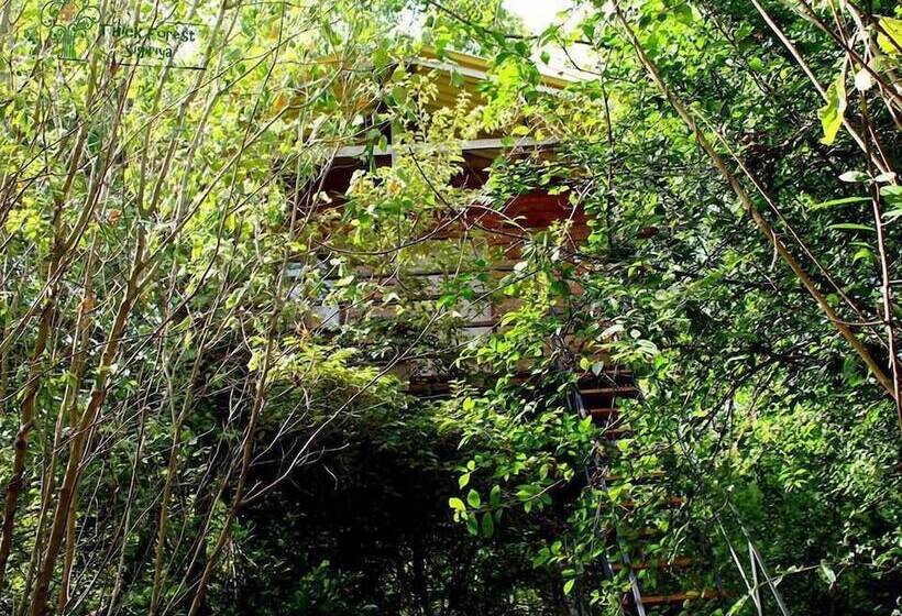 Hotell The Thick Forest