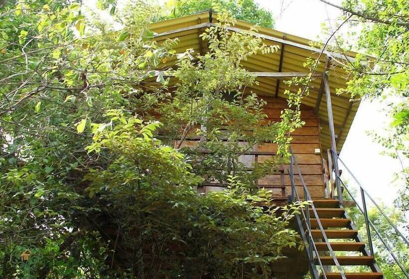 Hotell The Thick Forest