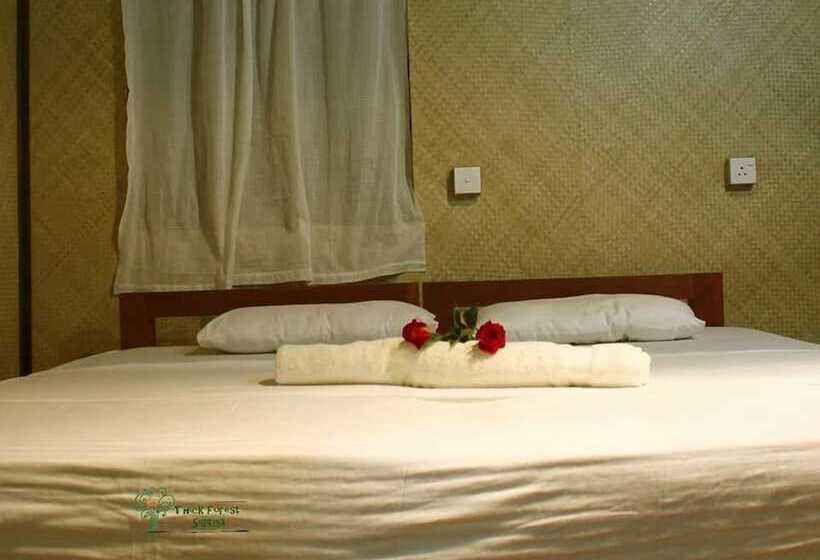 Hotell The Thick Forest