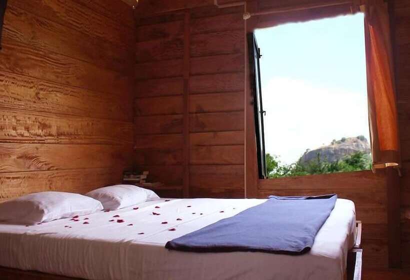 Hotell The Thick Forest