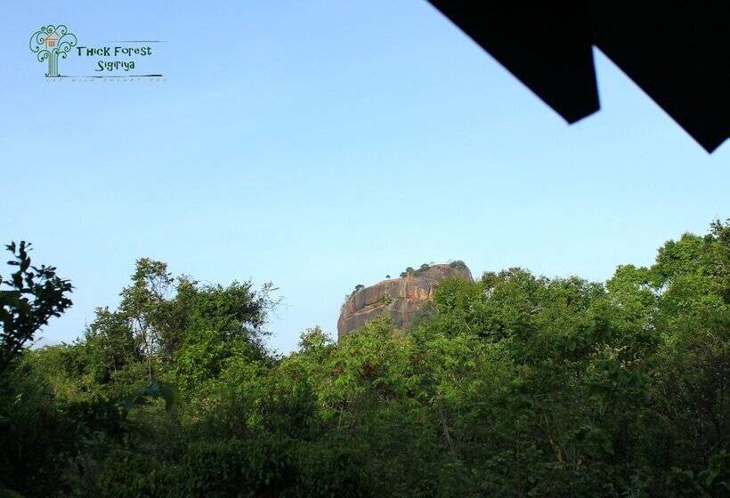 Hotell The Thick Forest