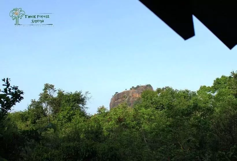 Hotel The Thick Forest