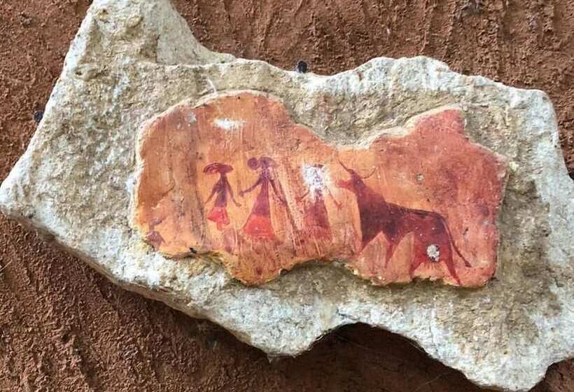 Hotell The Thick Forest