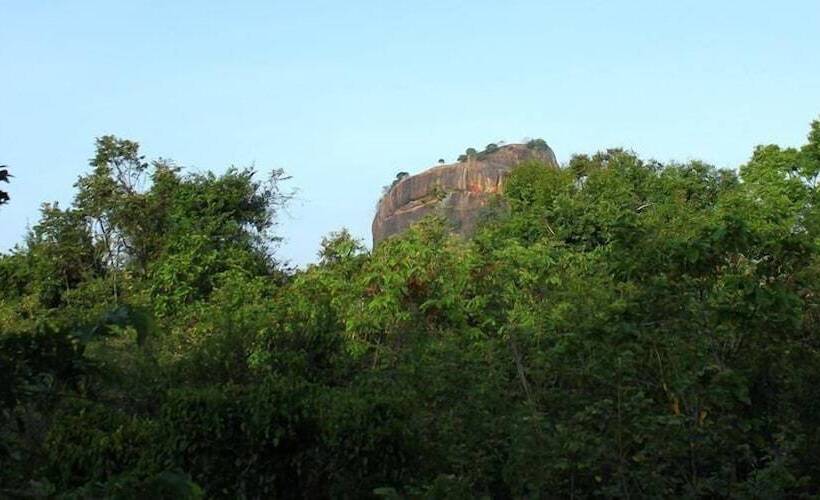 Hotell The Thick Forest