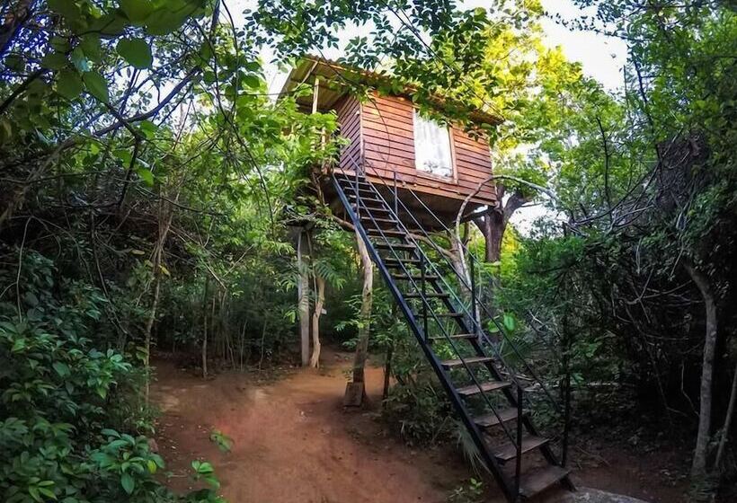 Hotell The Thick Forest