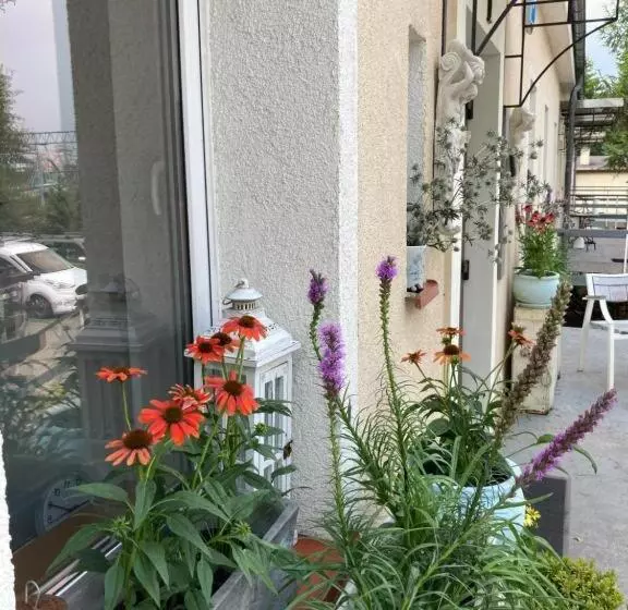 پانسیون Villa Italiana Pokoje Z Prywatnymi łazienkami & Odnowa Biologiczna