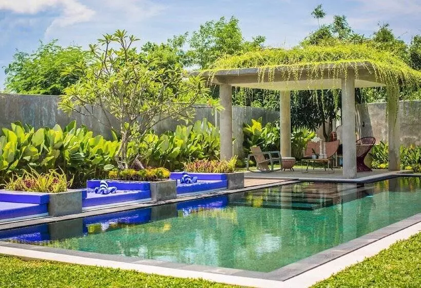 Villa Delfino