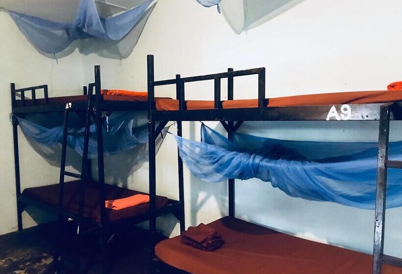 Yellow Moon M23 Hostel