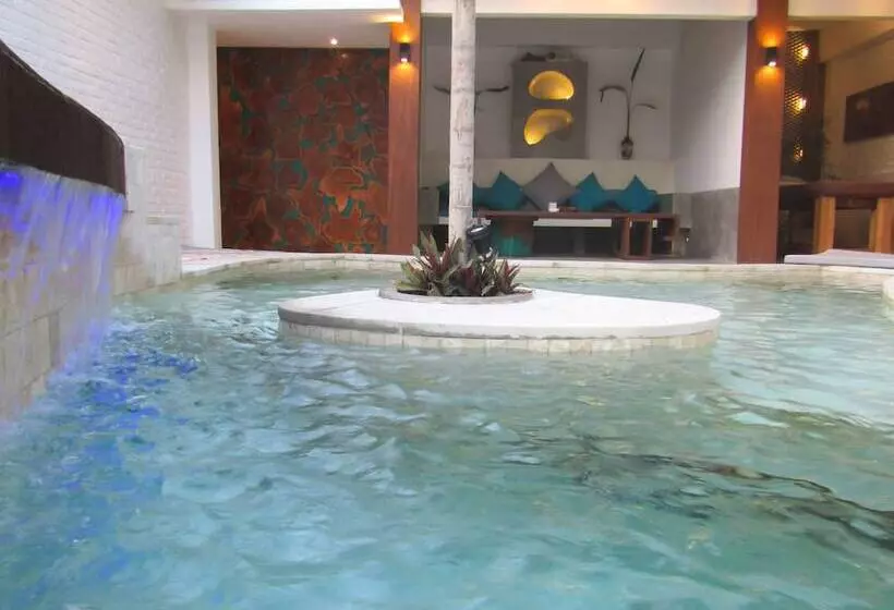 ベッドアンドブレックファースト The White Key Luxury Villas