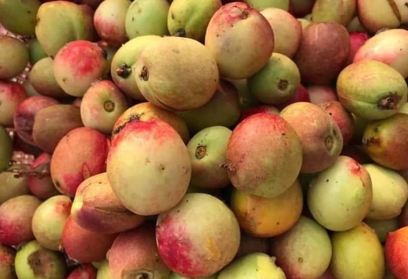 בית מלון כפרי Favanhmai