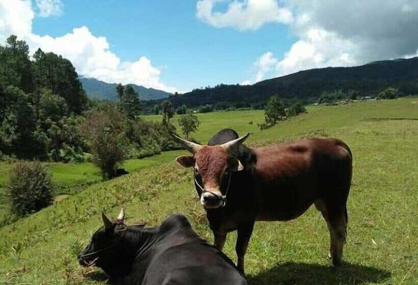 בית מלון כפרי Favanhmai