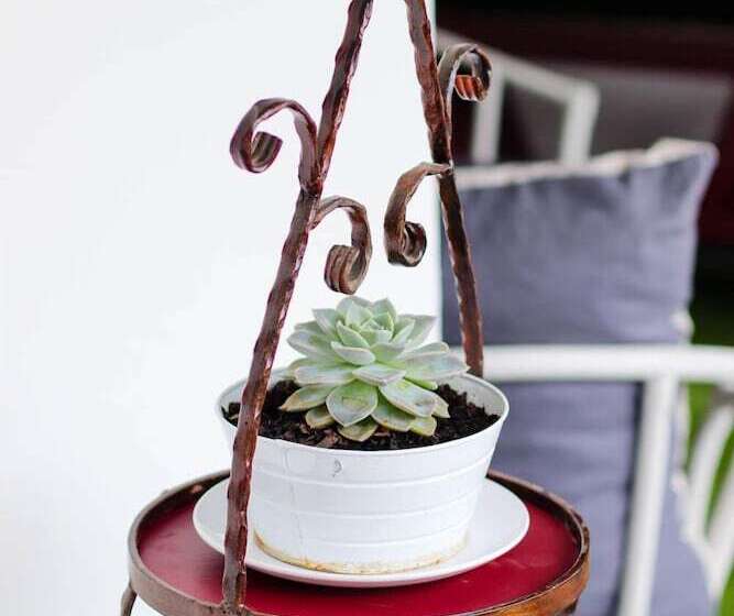 פנסיון Arbour1 Guesthouse