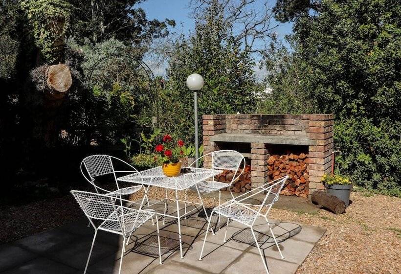 פנסיון Arbour1 Guesthouse