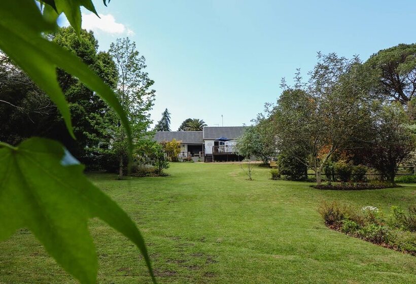 פנסיון Arbour1 Guesthouse