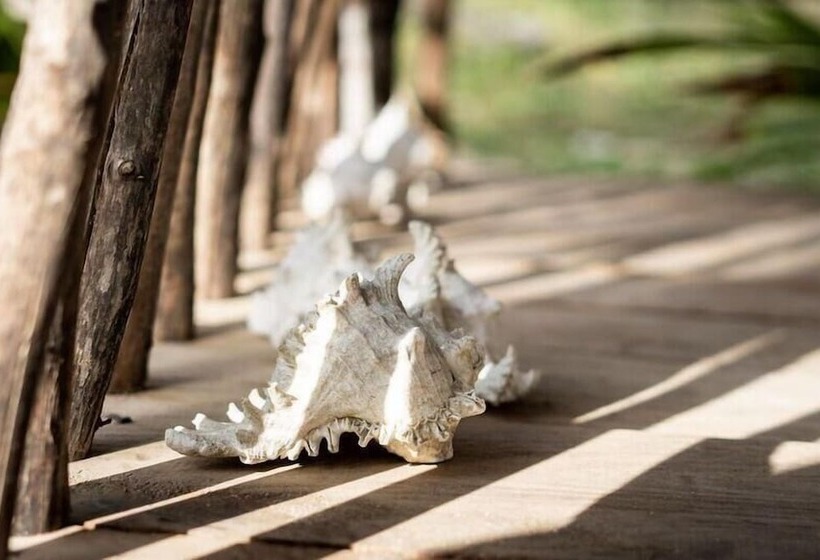 ペンション Blue Ocean Resort