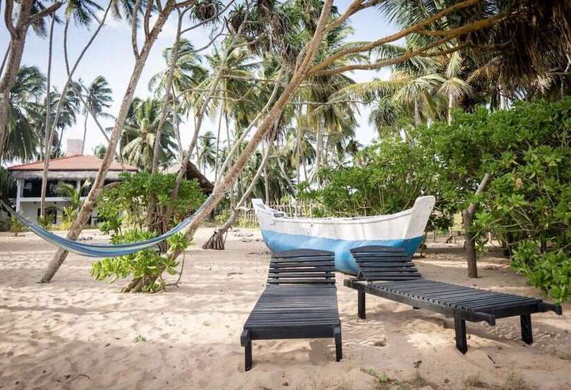 ペンション Blue Ocean Resort