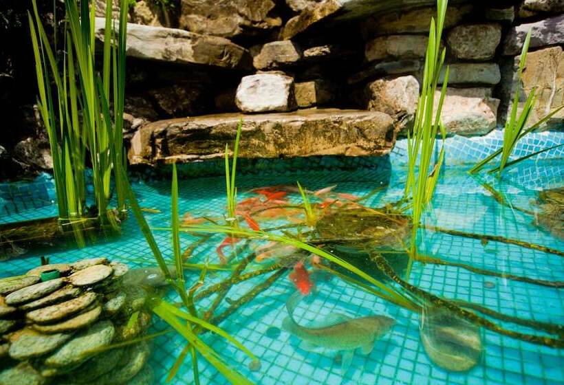 پانسیون Lera Guest House