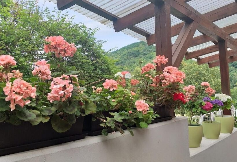 ペンション Moselina Gästezimmer