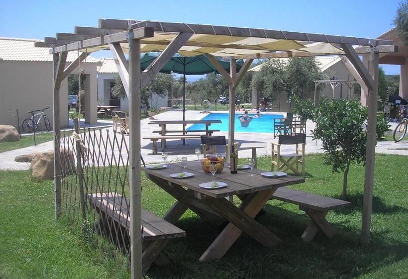 Socrates Organic Village   Wild Olive