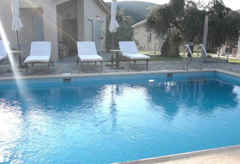 Socrates Organic Village   Wild Olive