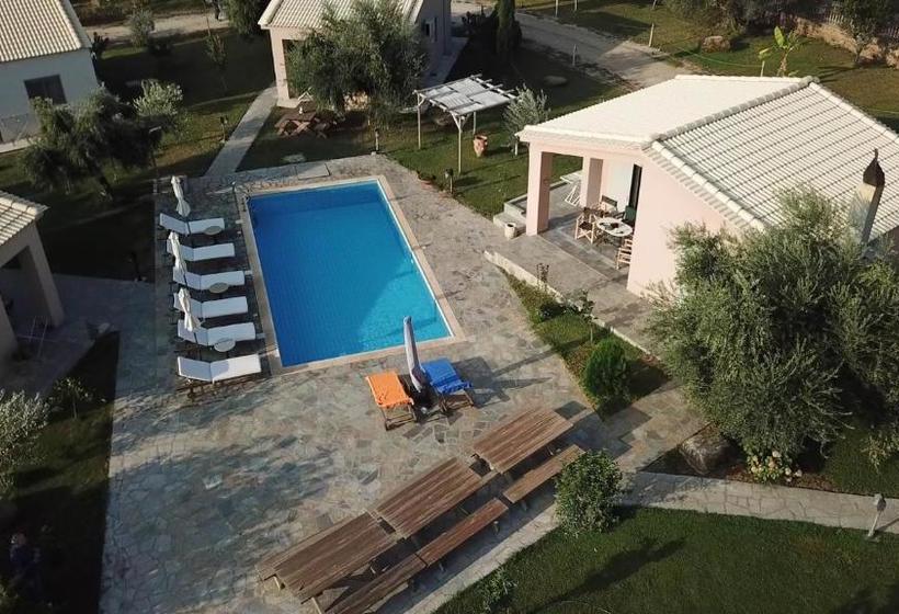 Socrates Organic Village   Wild Olive