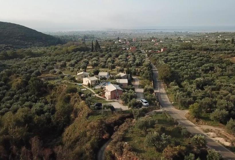 Socrates Organic Village   Wild Olive