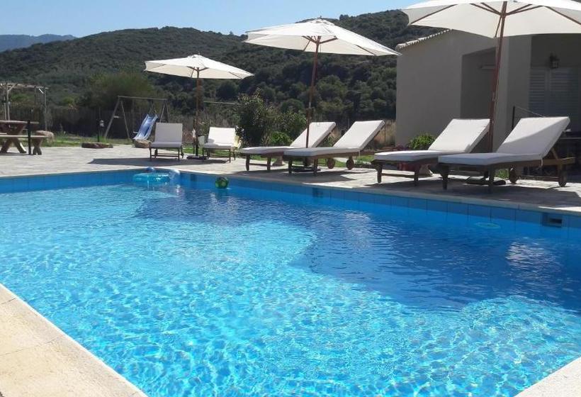 Socrates Organic Village   Wild Olive