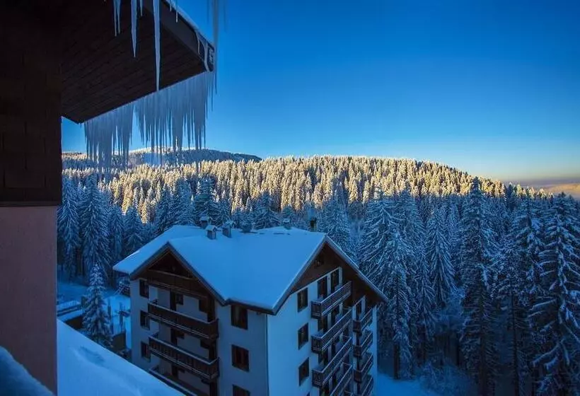 Sunny Hills Ski
