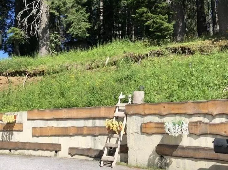 Sunny Hills Ski