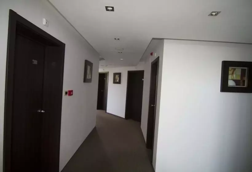 ホテル Salena Plaza