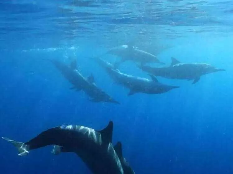 Majatalo Taklam Lodge