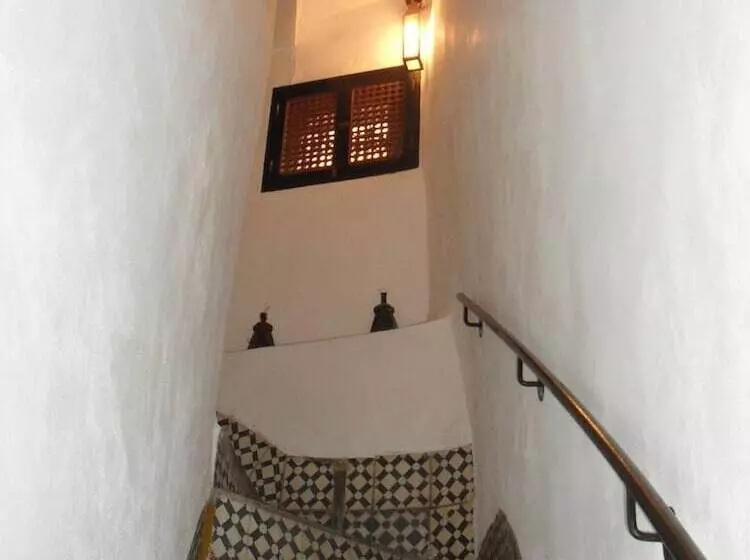 Riad Tiziri